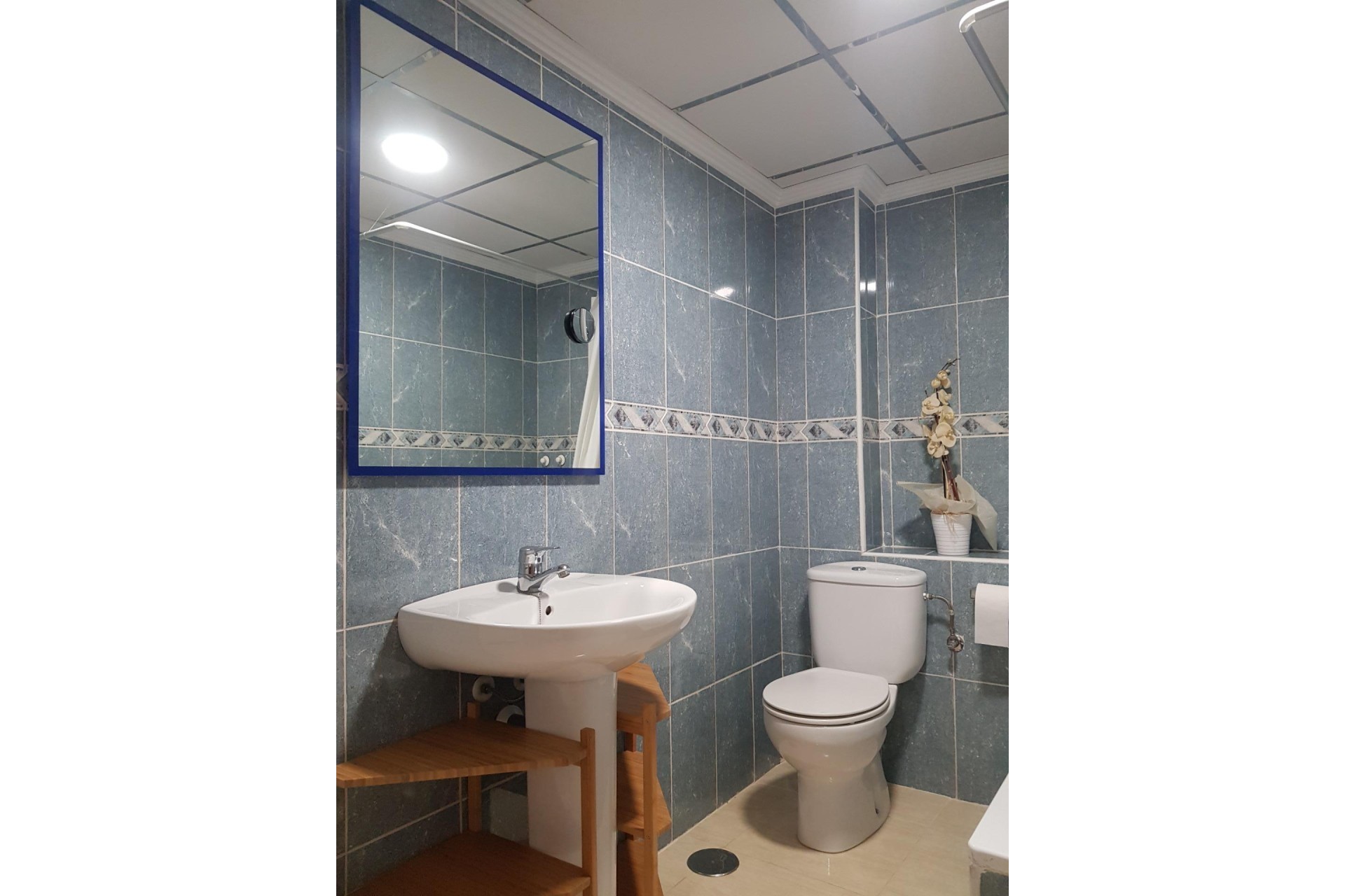 Reventa - Apartamento / piso - San Vicente del Raspeig - Centro sur