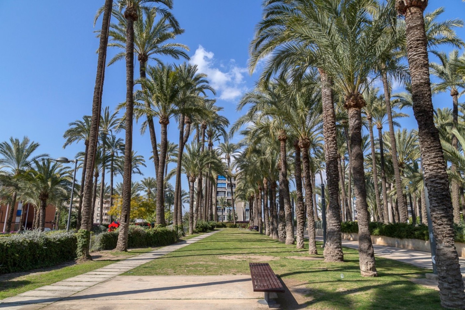 Reventa - Apartamento / piso - Santa Pola - Casco urbano