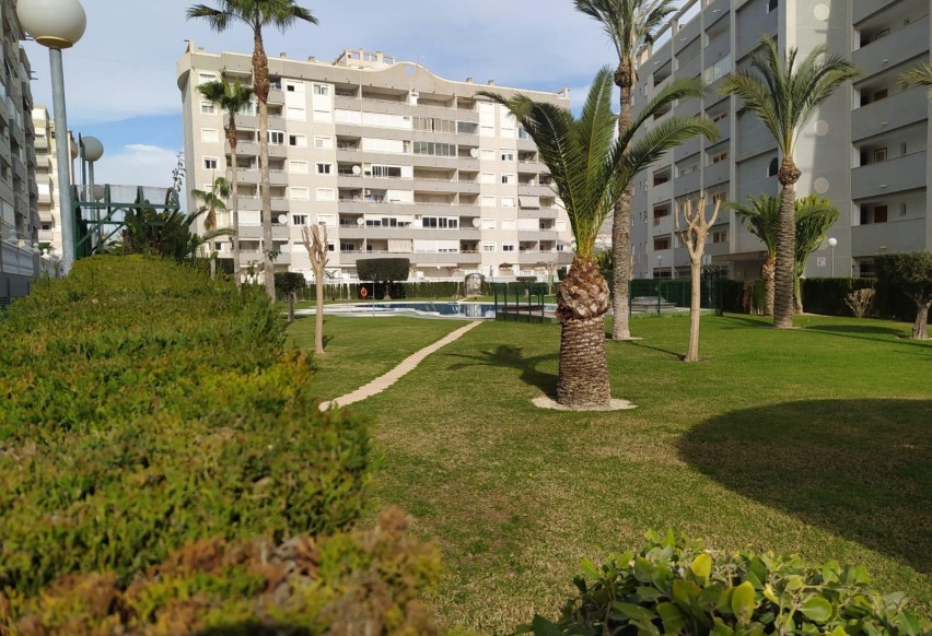 Reventa - Apartamento / piso - Villajoyosa - Cala Villajoyosa