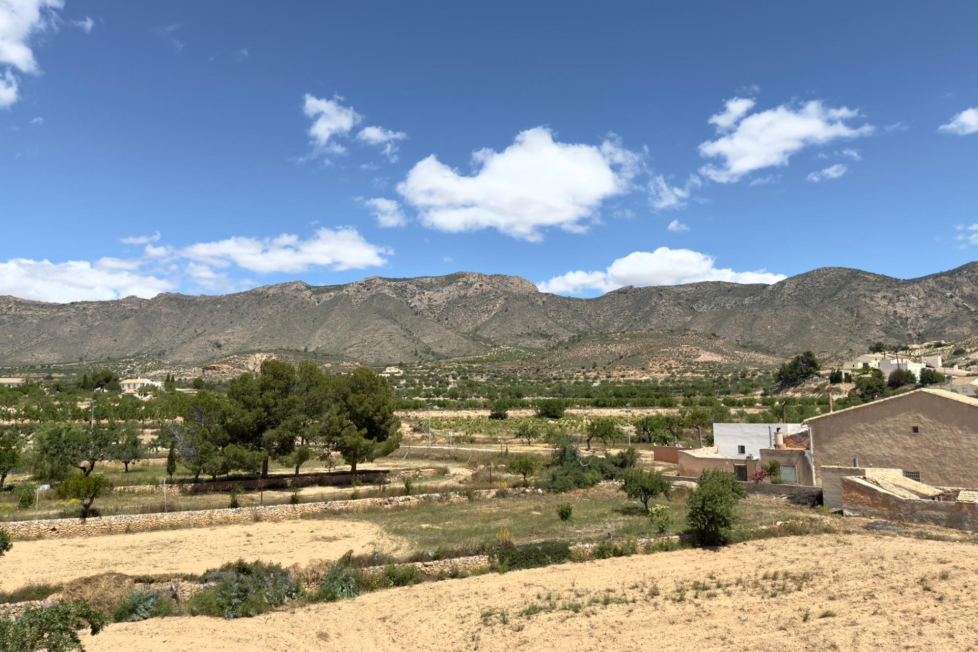 Reventa - Ático - Hondón de las Nieves - canalosa
