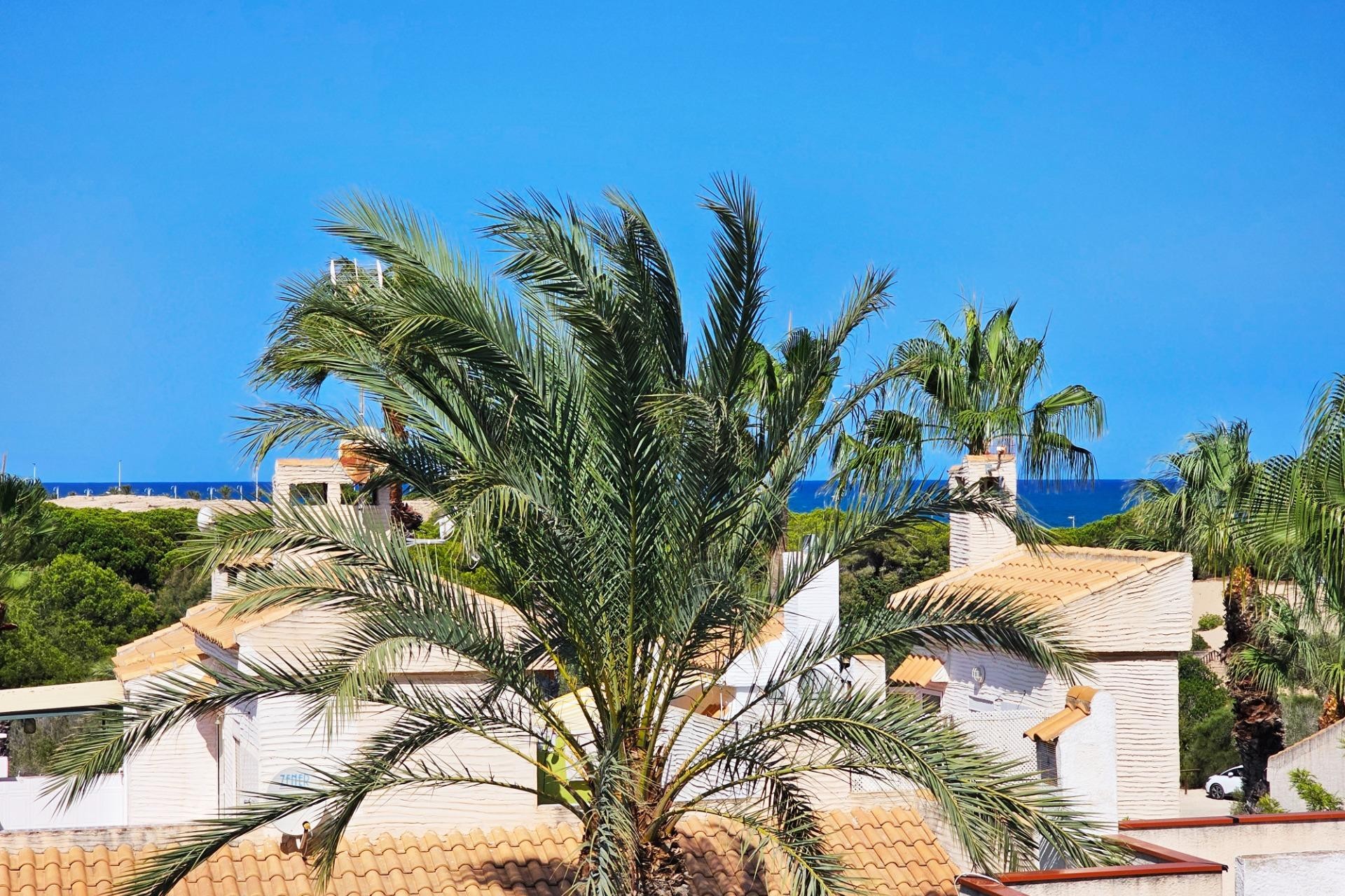 Reventa - Bungalow - Gran alacant - Costa Hispania