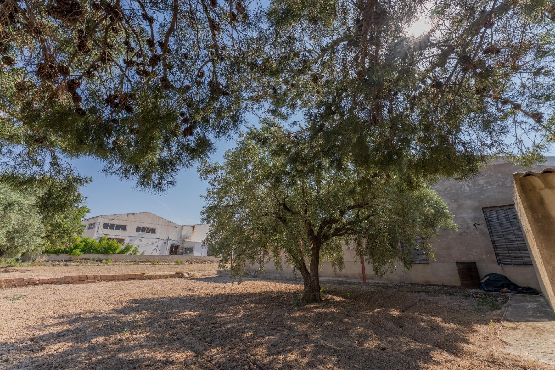 Reventa - Casa - Matola - Algoda-Matola-Llano de San José