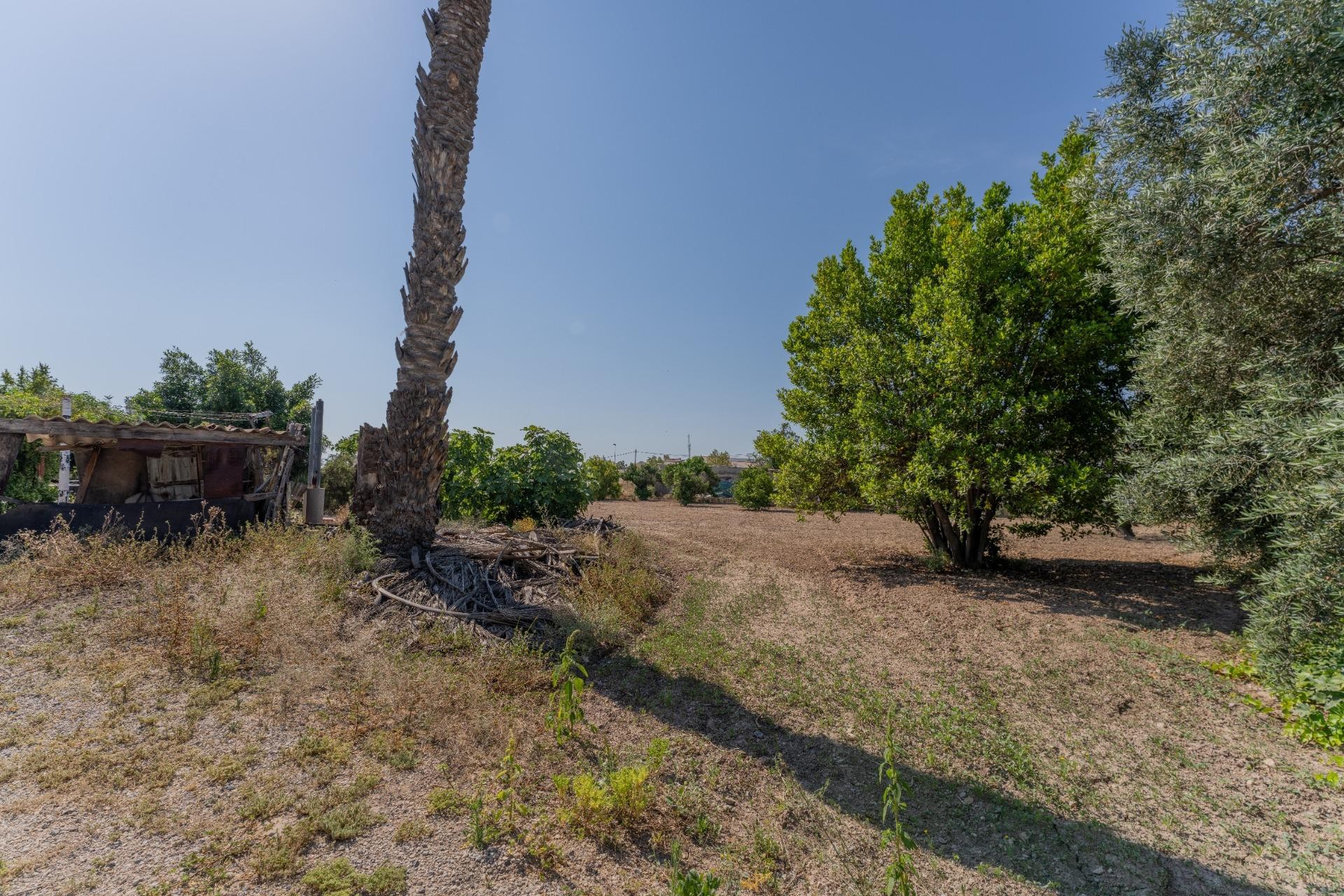 Reventa - Casa - Matola - Algoda-Matola-Llano de San José