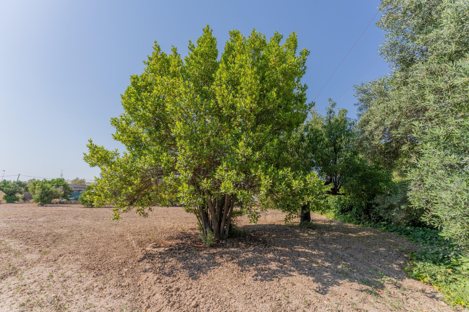 Reventa - Casa - Matola - Algoda-Matola-Llano de San José