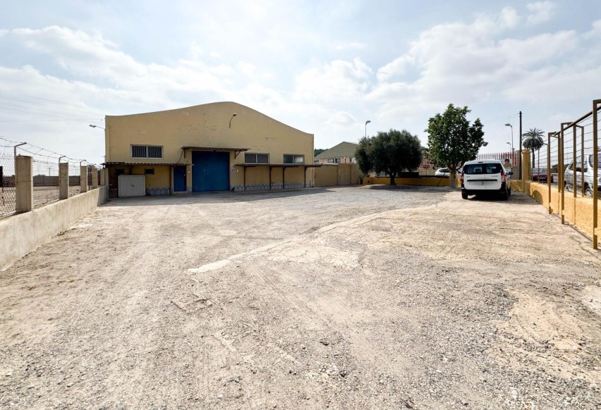 Reventa - Comercial - Elche Pedanías - Algoda
