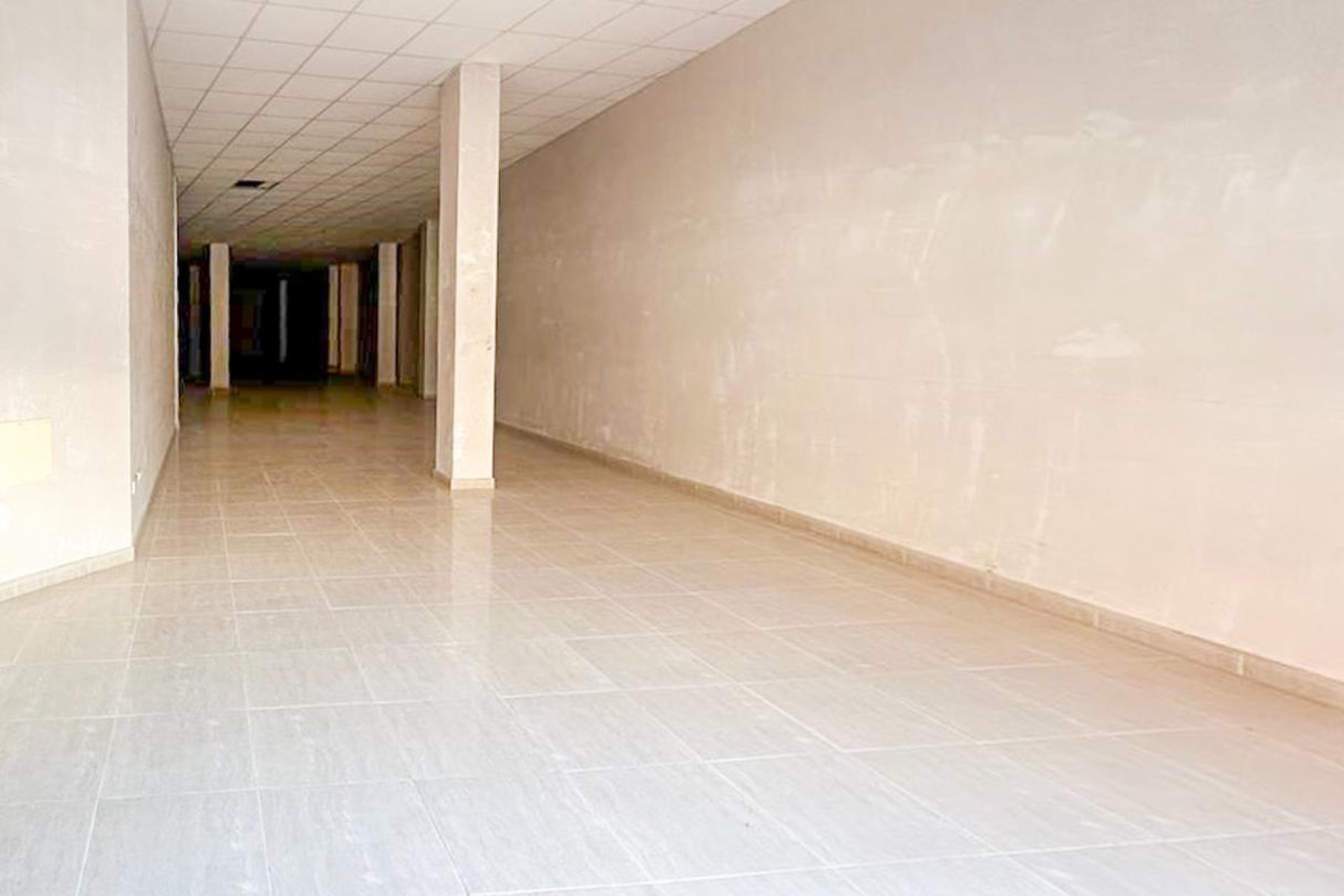 Reventa - Comercial - Elche Pedanías - Las Bayas-Asprillas