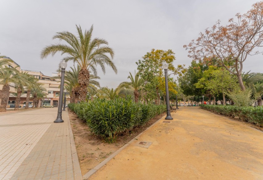 Reventa - Comercial - Elche Pedanías - Las Bayas
