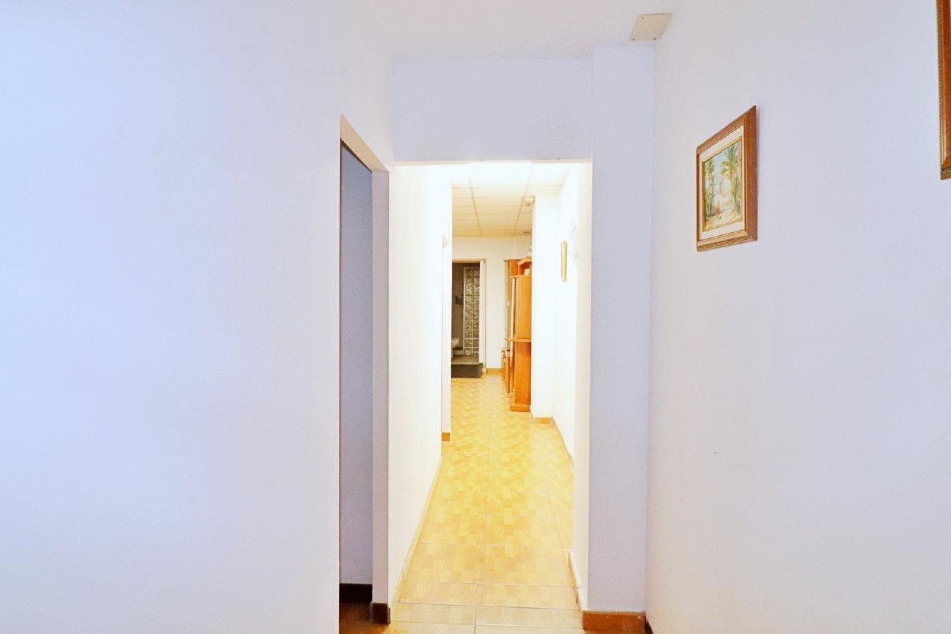 Reventa - Edificio - Elche - Plaza Crevillente-Juzgados
