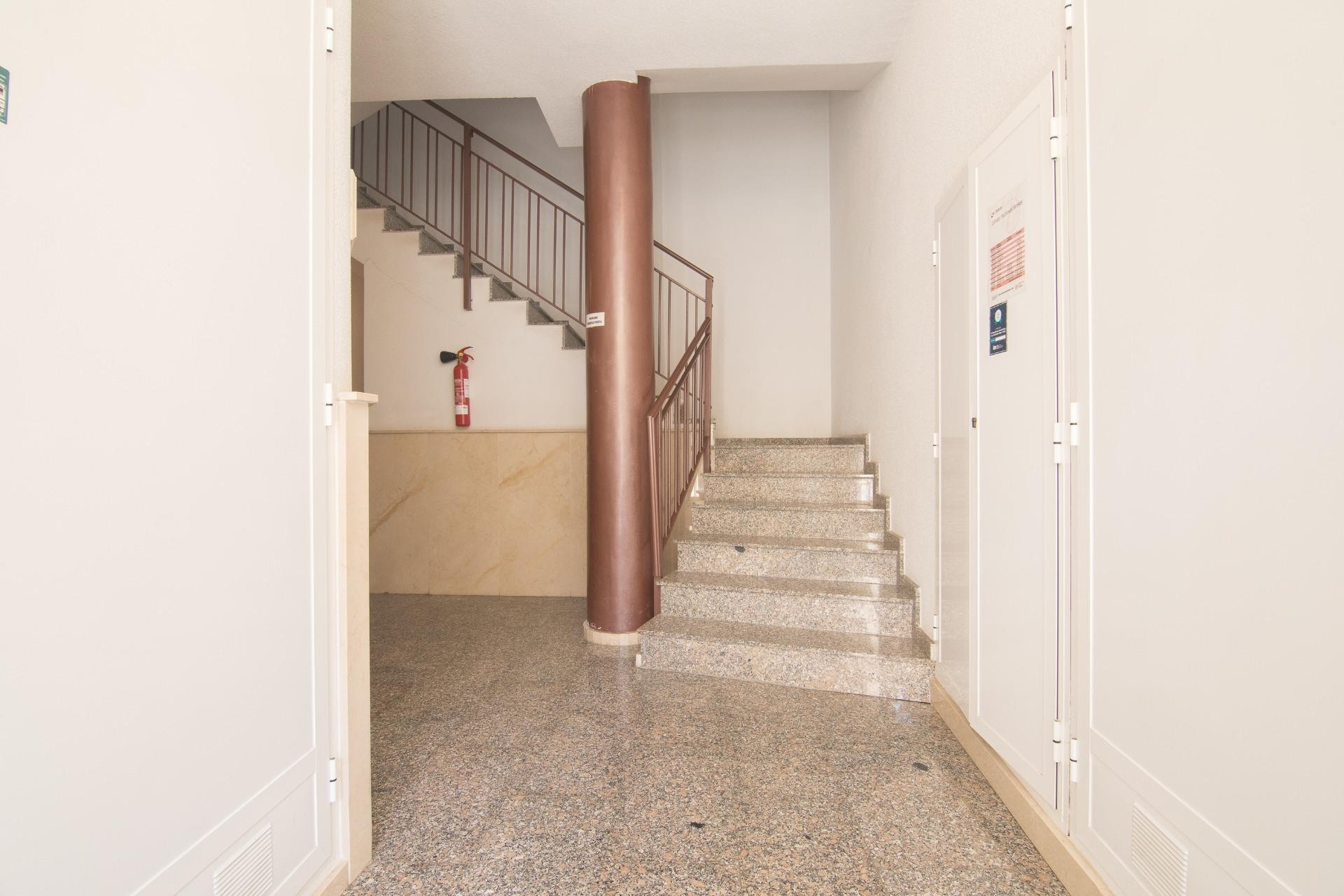 Reventa - Estudio - Elche Pedanías - El Altet