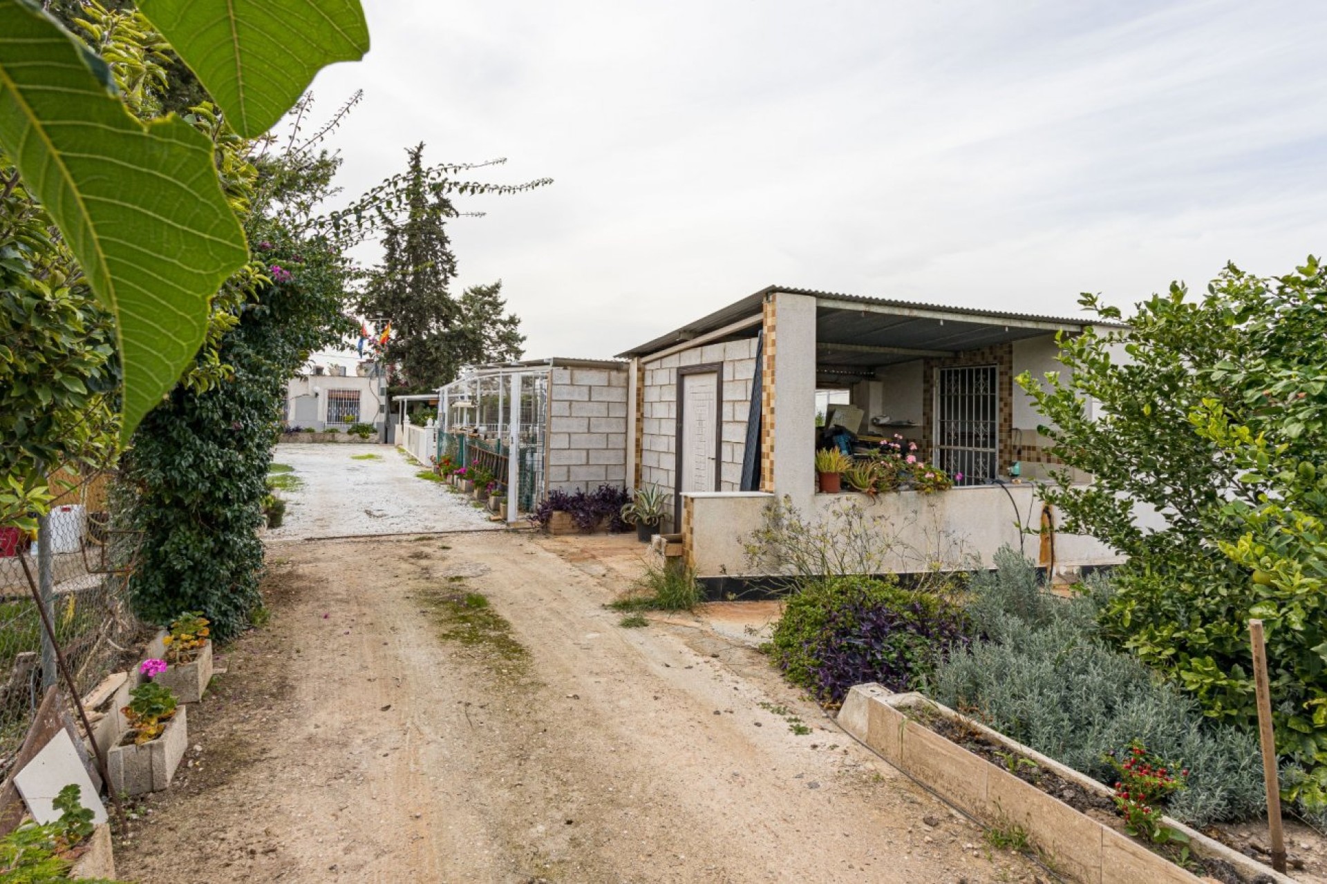 Reventa - house - Orihuela Costa - La Matanza
