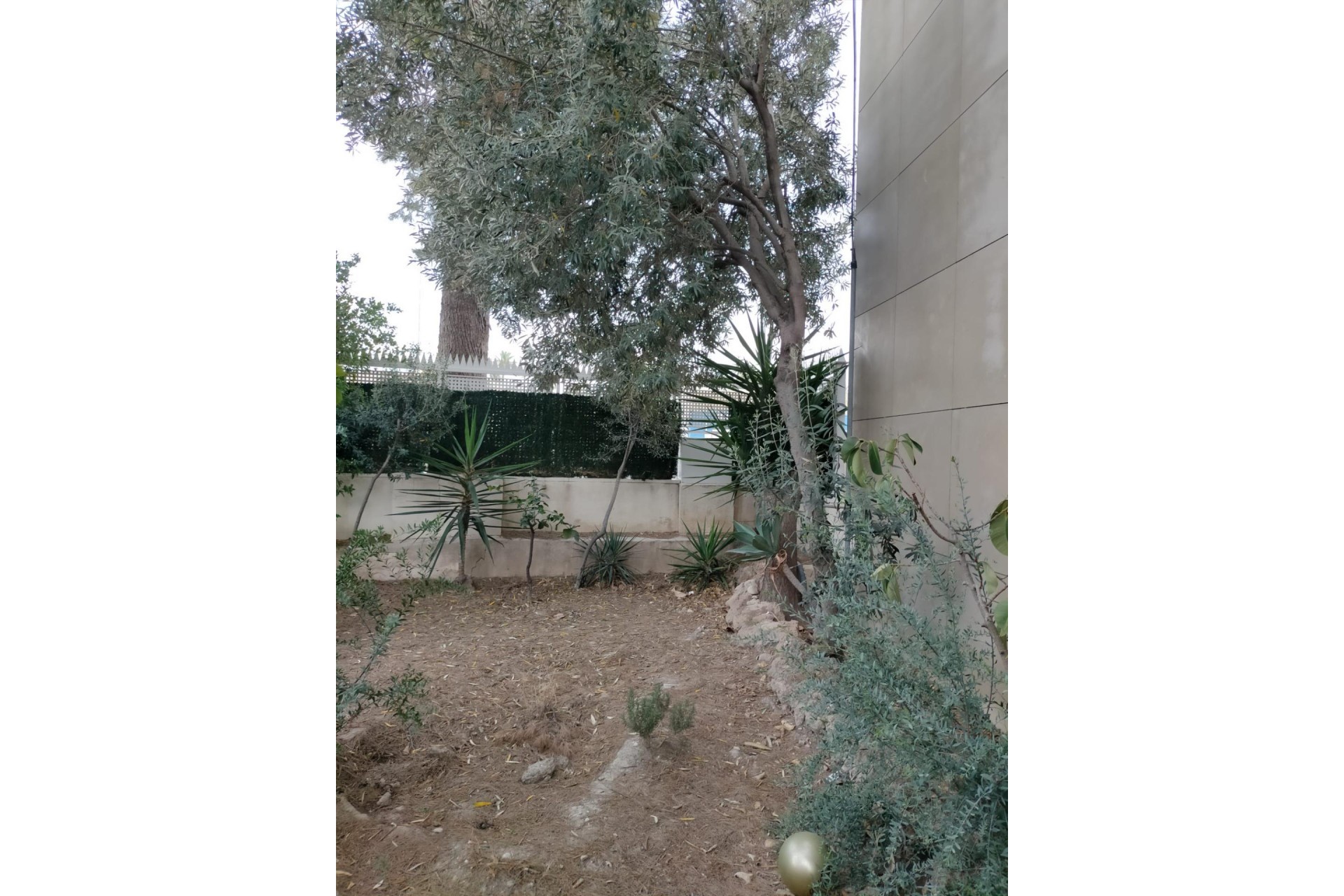 Reventa - house - Orihuela Costa - Orihuela