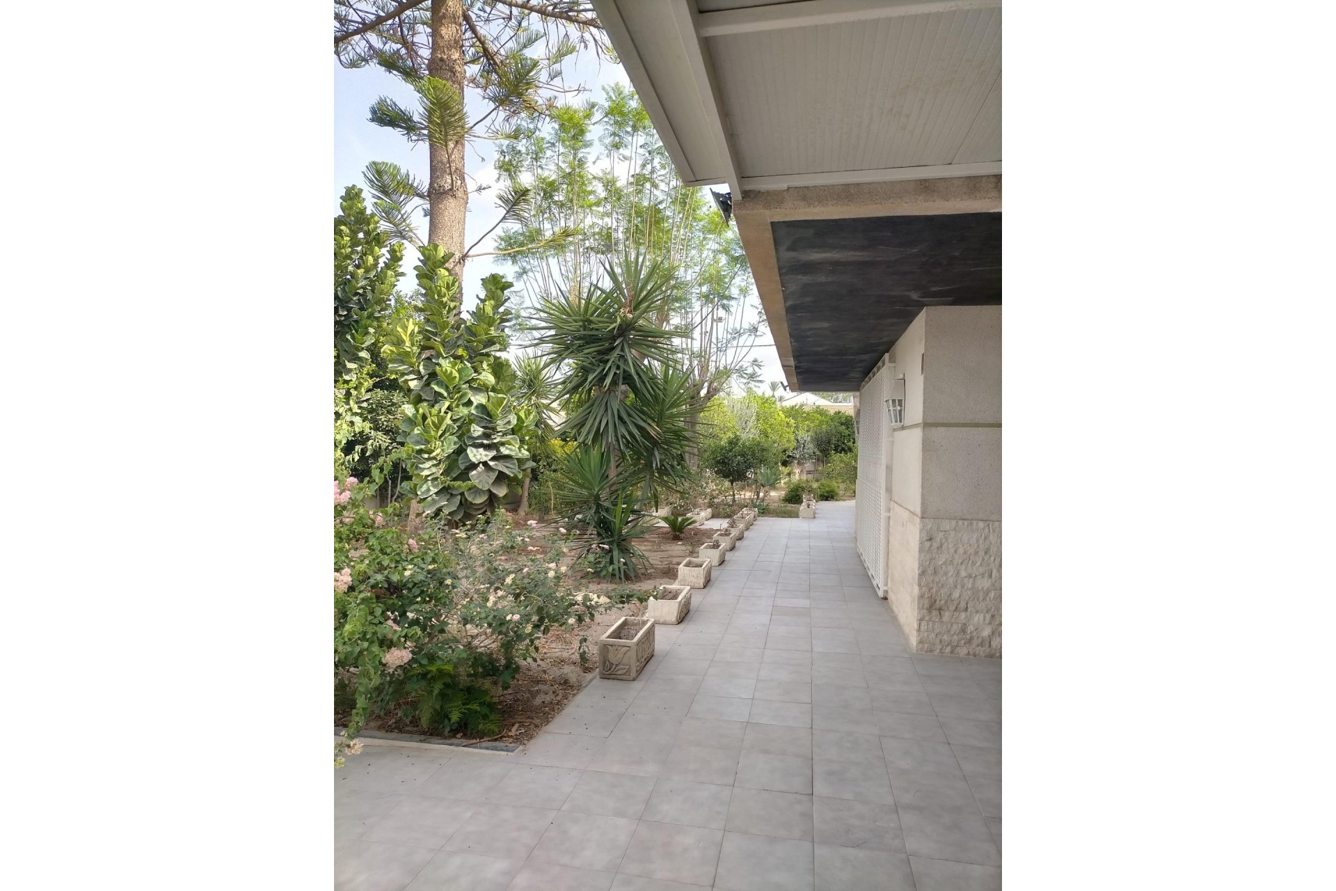 Reventa - house - Orihuela Costa - Orihuela