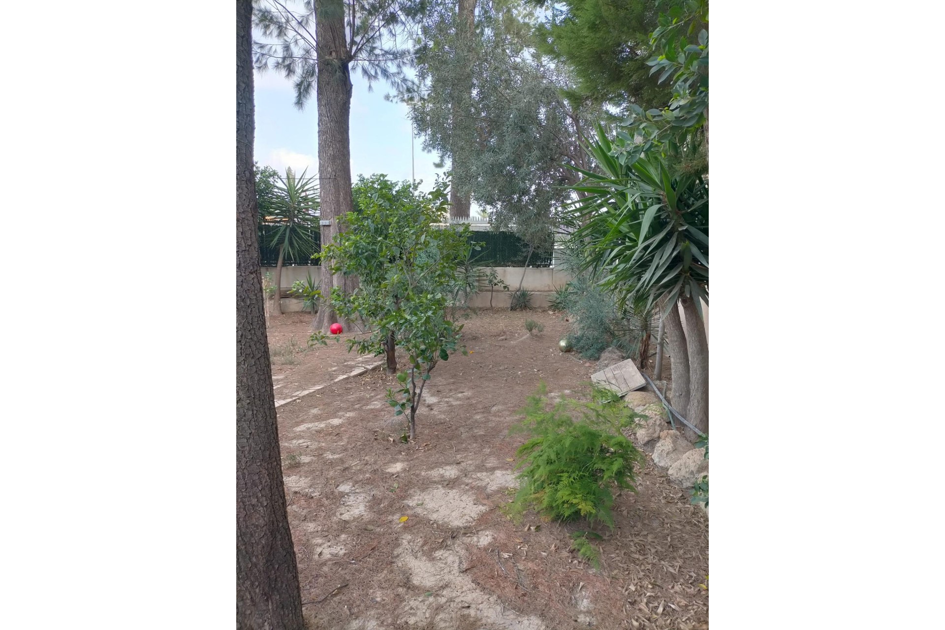 Reventa - house - Orihuela Costa - Orihuela