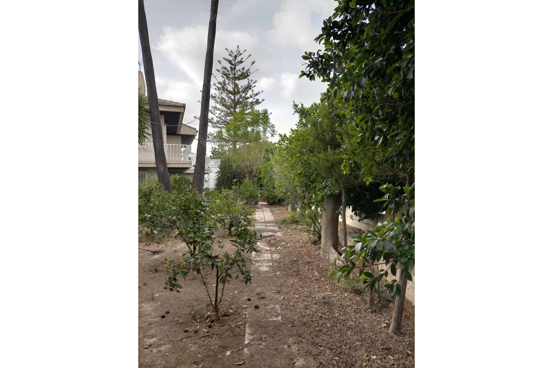 Reventa - house - Orihuela Costa - Orihuela