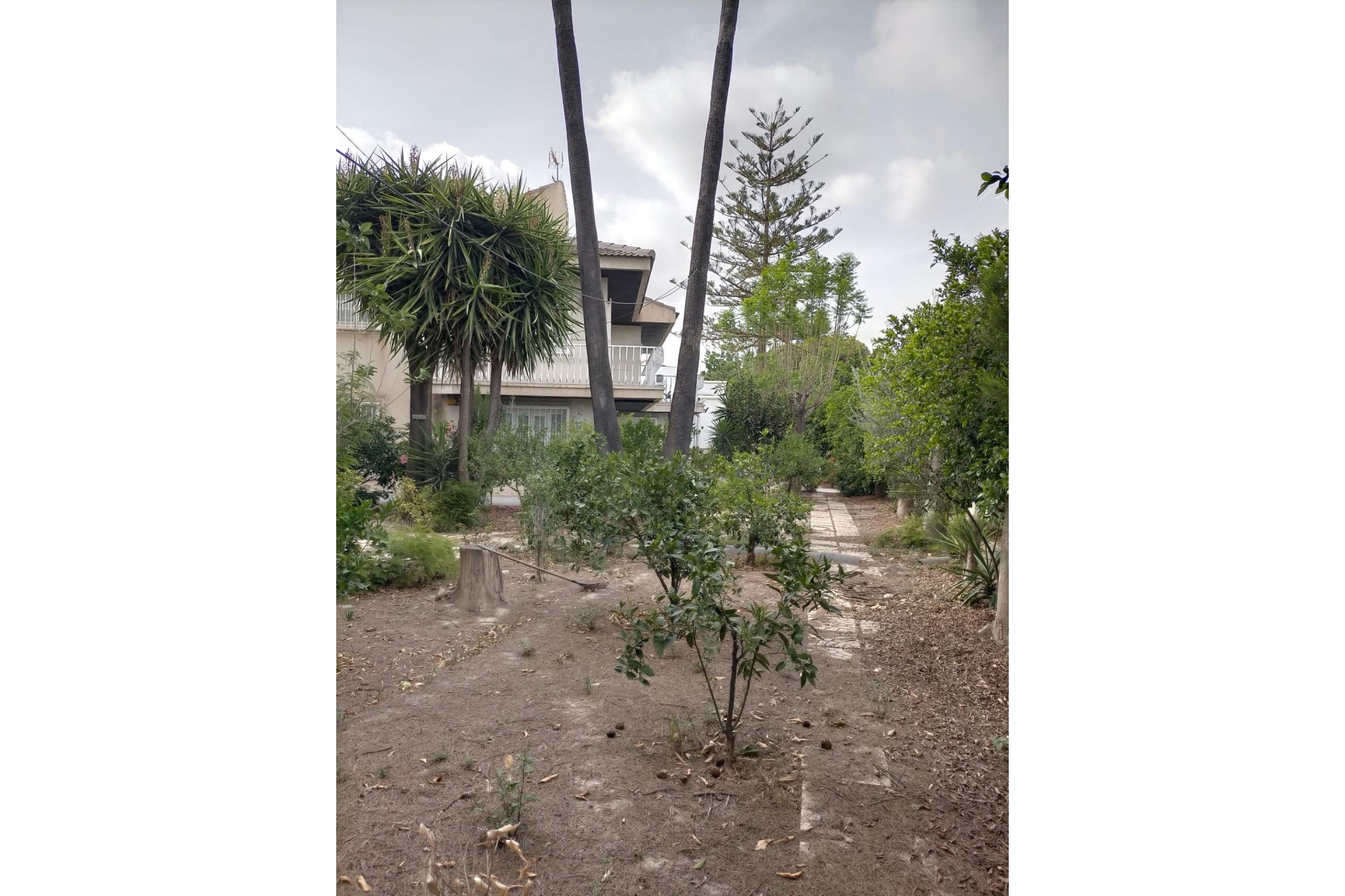 Reventa - house - Orihuela Costa - Orihuela