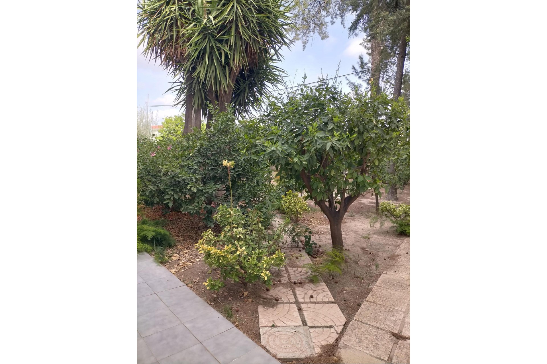 Reventa - house - Orihuela Costa - Orihuela