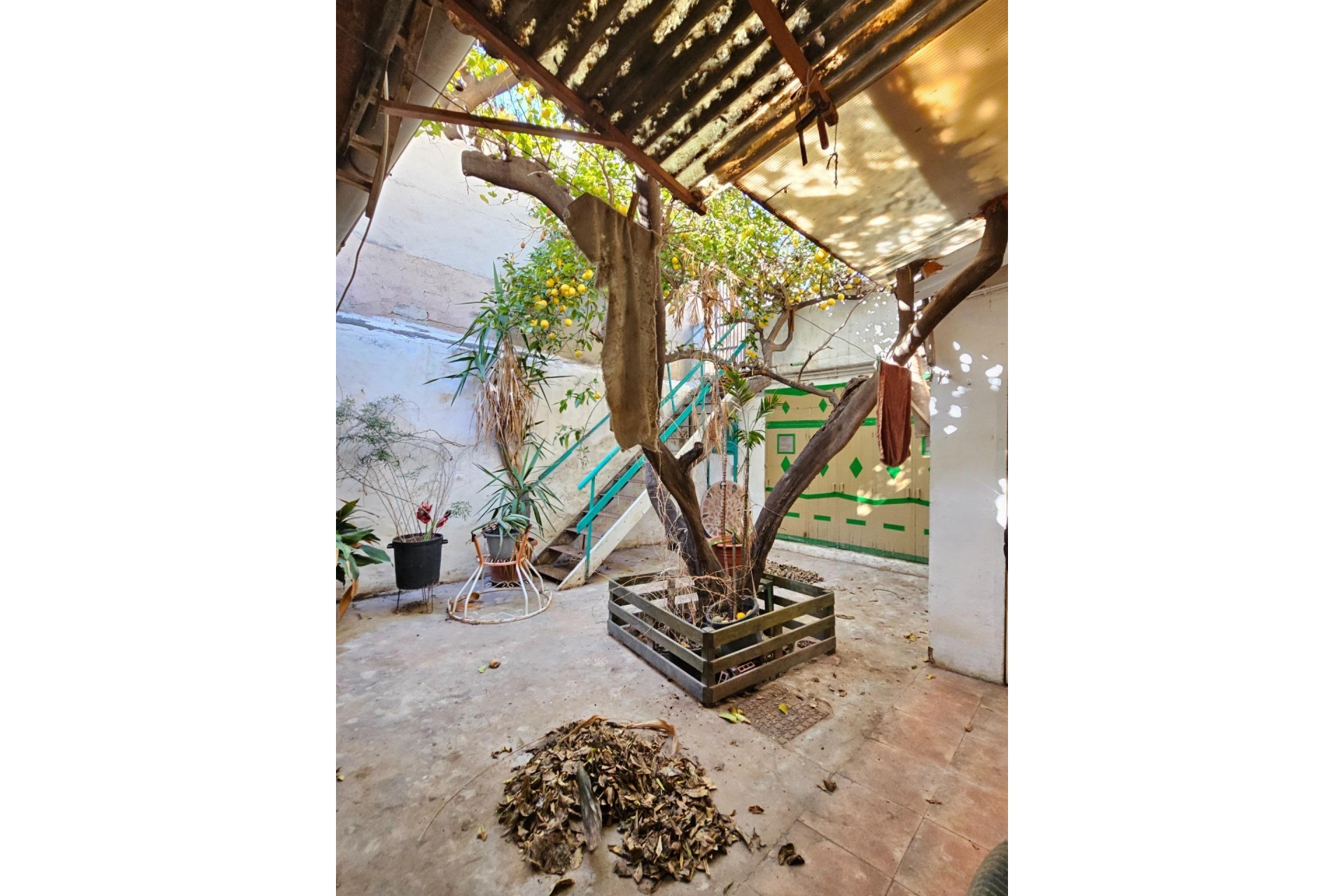 Reventa - house - San Vicente del Raspeig - Centro