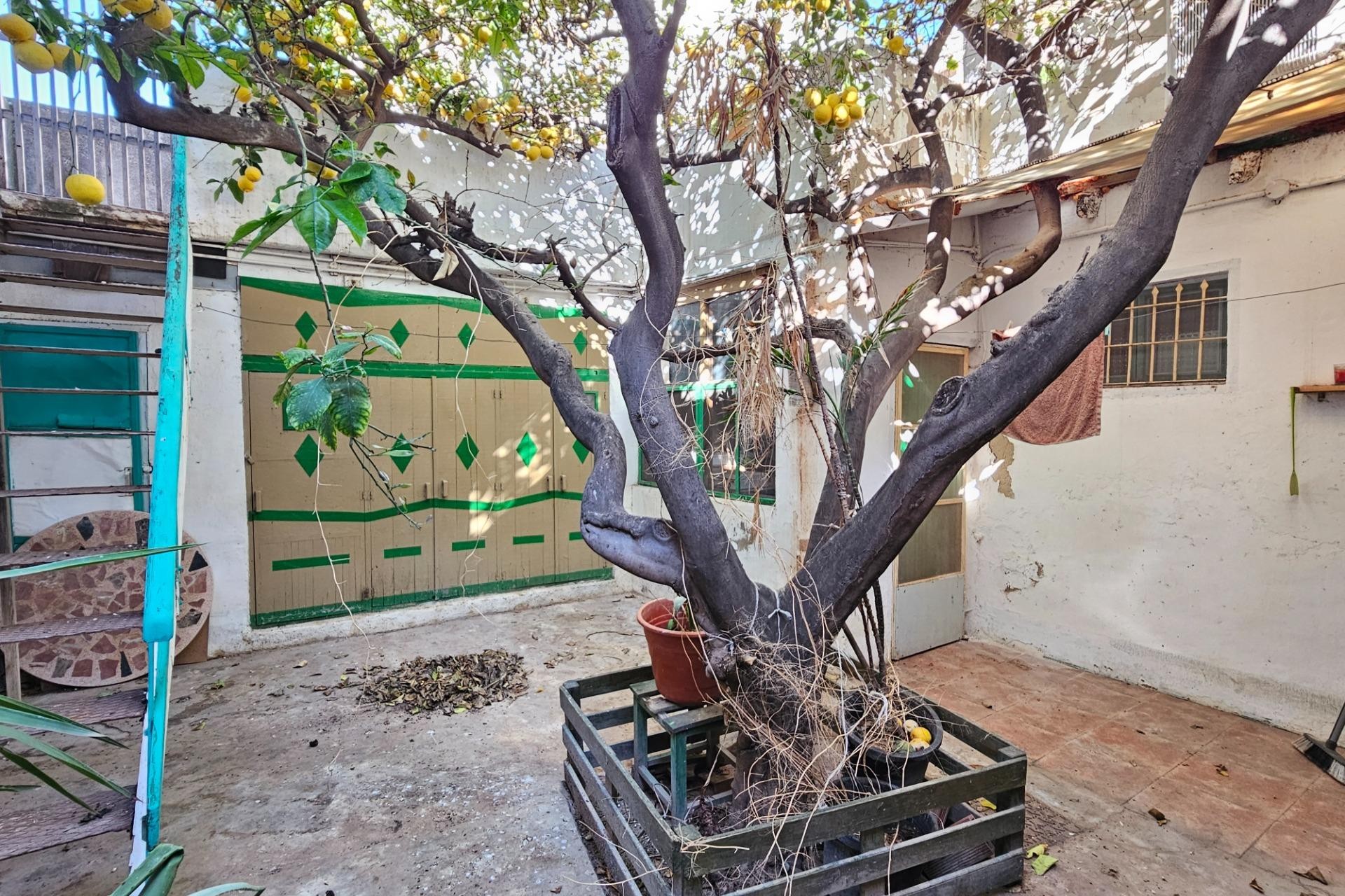 Reventa - house - San Vicente del Raspeig - Centro