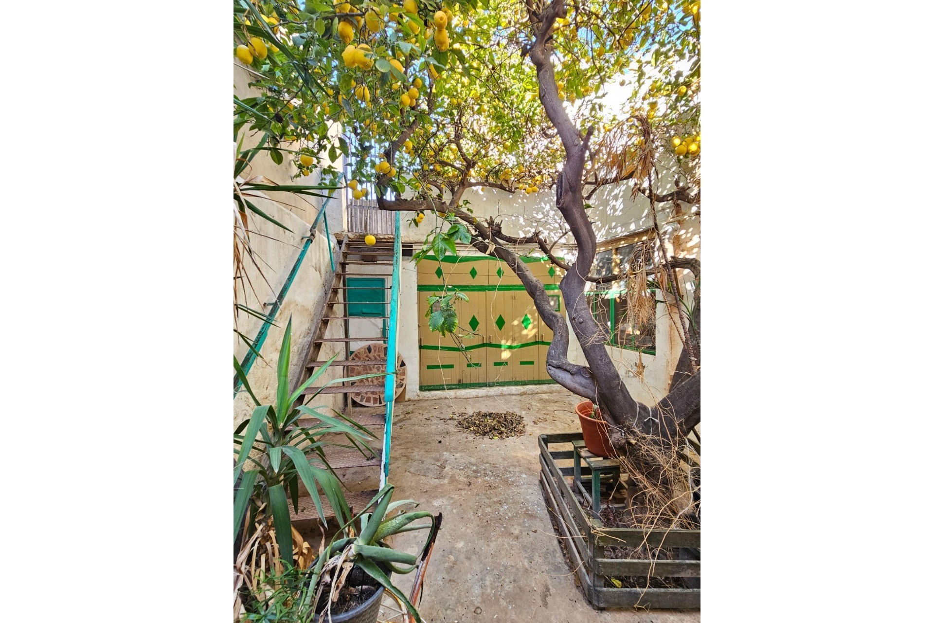 Reventa - house - San Vicente del Raspeig - Centro