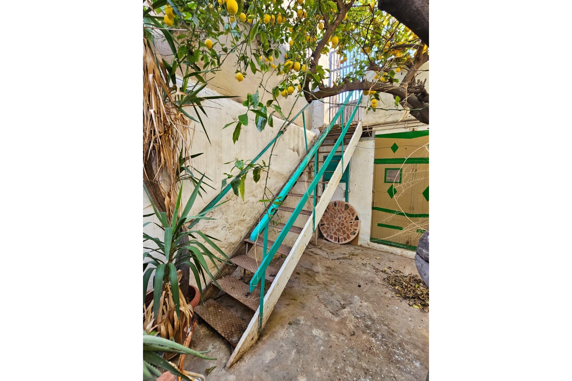 Reventa - house - San Vicente del Raspeig - Centro