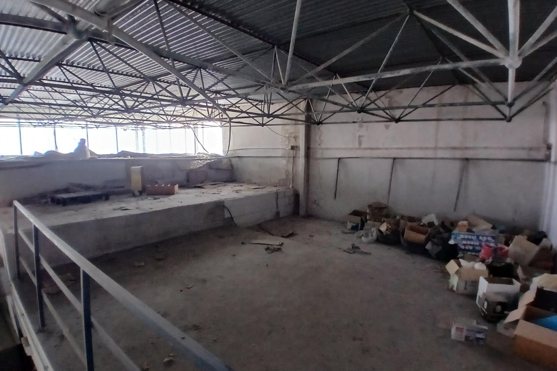 Reventa - Nave industrial - Algueña