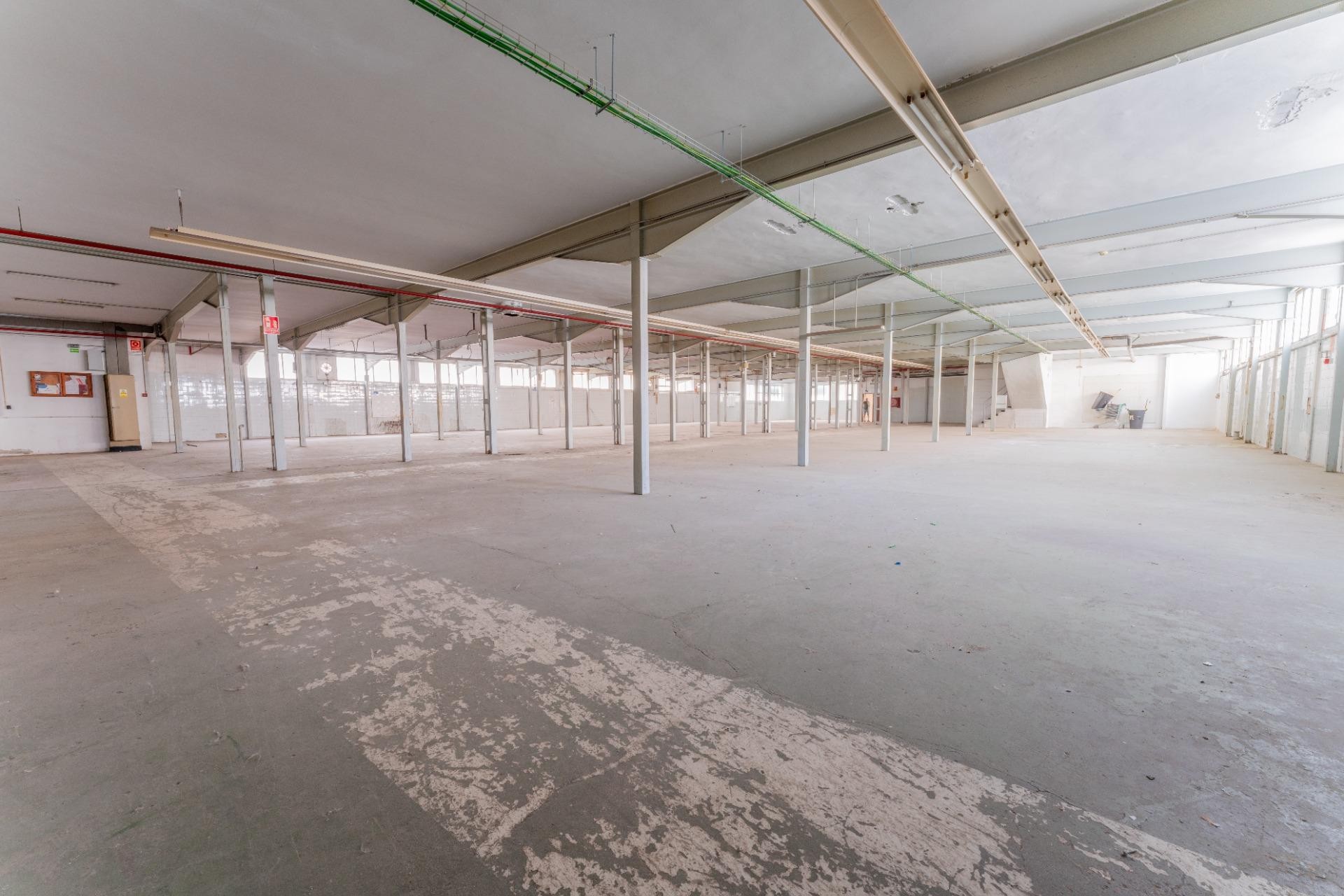 Reventa - Nave industrial - Elche - Toscar