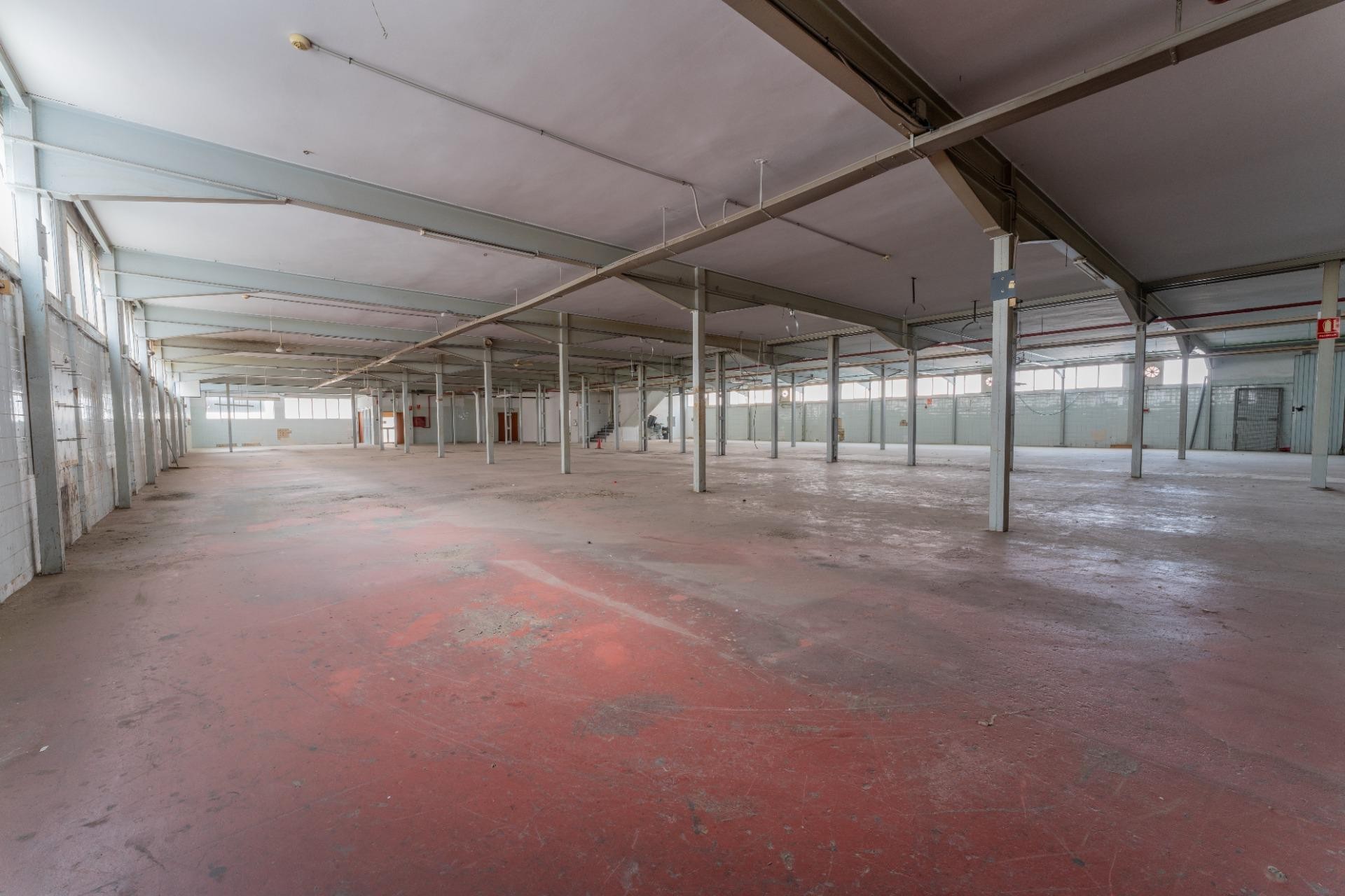 Reventa - Nave industrial - Elche - Toscar