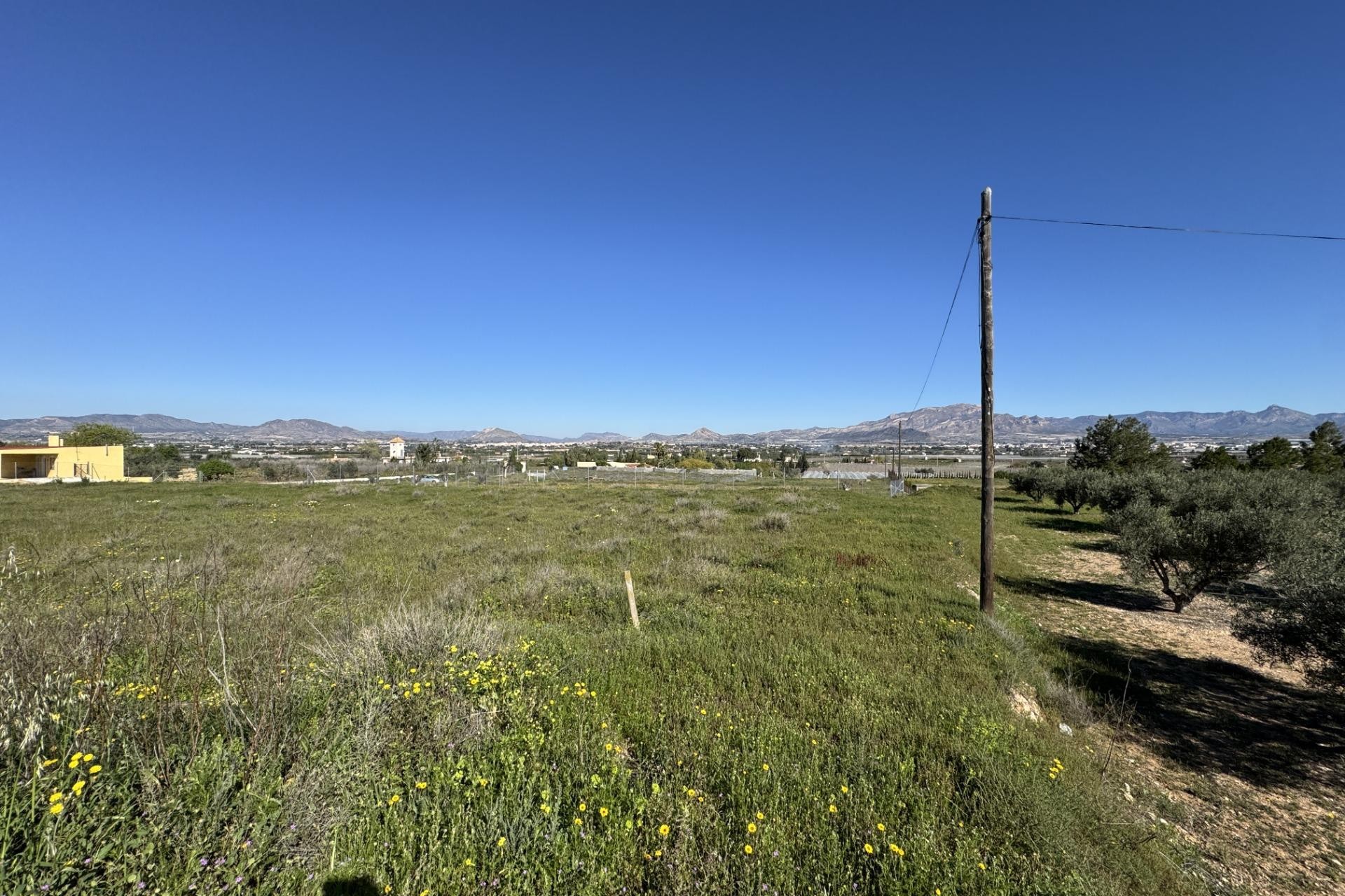 Reventa - Parcela - Aspe - Huerta mayor