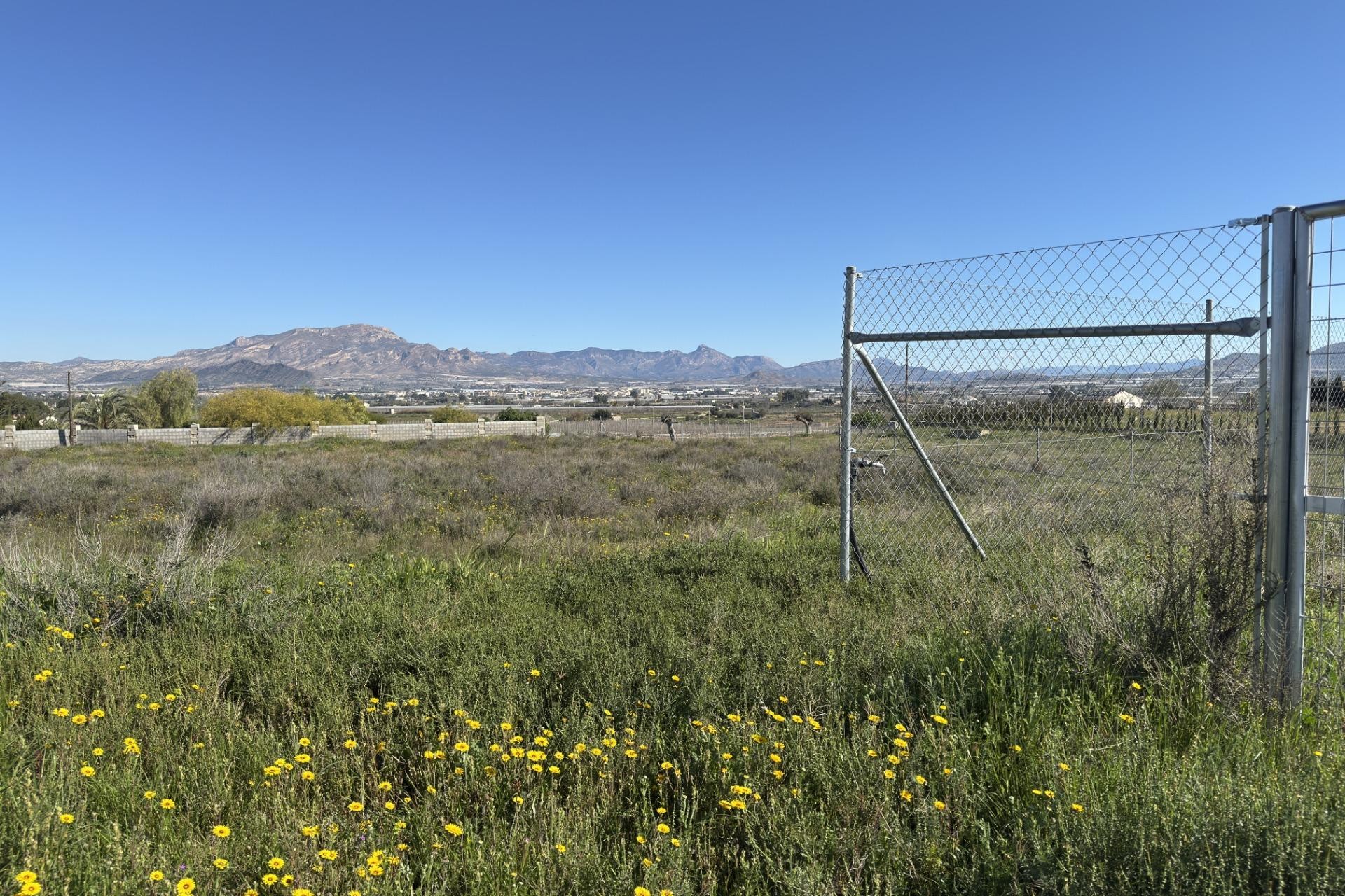Reventa - Parcela / Terreno - Aspe - Huerta mayor