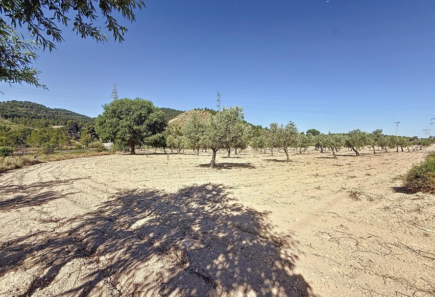 Reventa - Parcela / Terreno - Biar - Comunidad valenciana