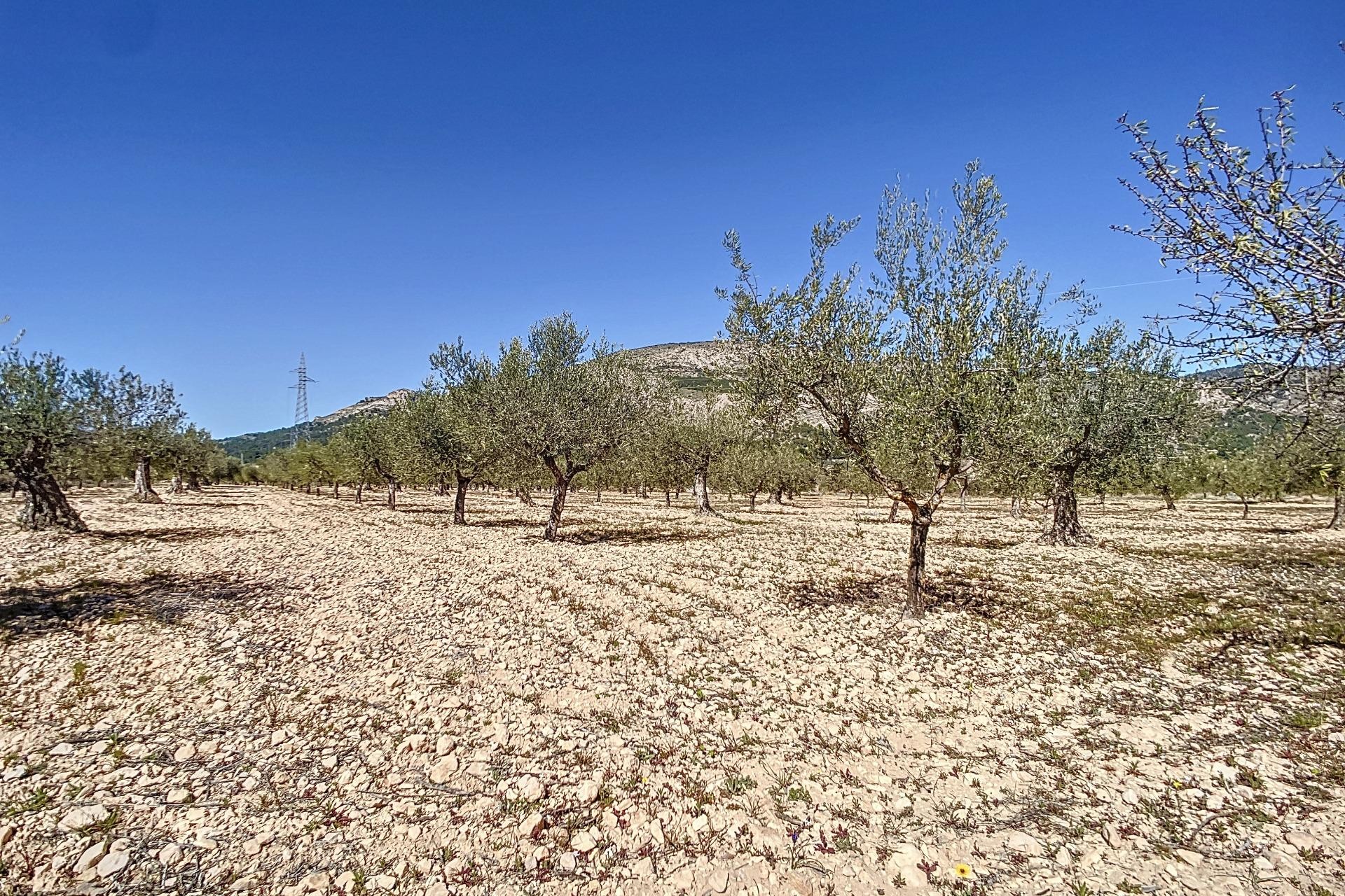 Reventa - Parcela / Terreno - Castalla - Comunidad valenciana