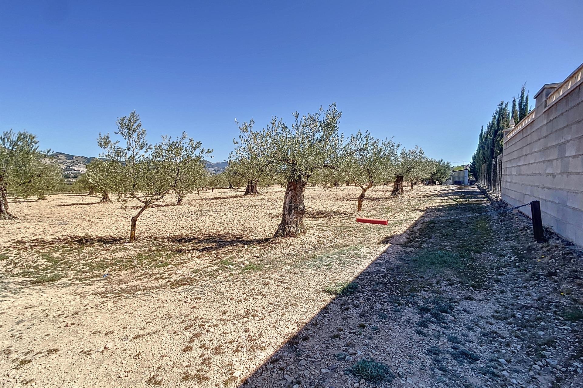 Reventa - Parcela / Terreno - Castalla - Comunidad valenciana