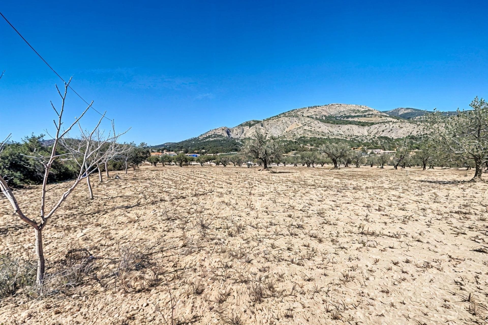 Reventa - Parcela / Terreno - Castalla - Ginets