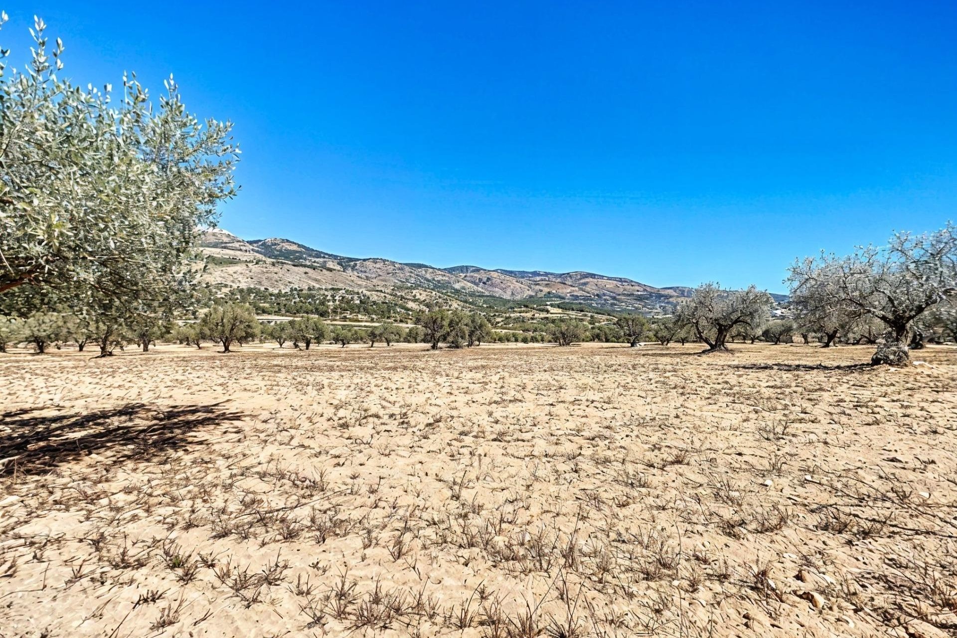 Reventa - Parcela / Terreno - Castalla - Ginets