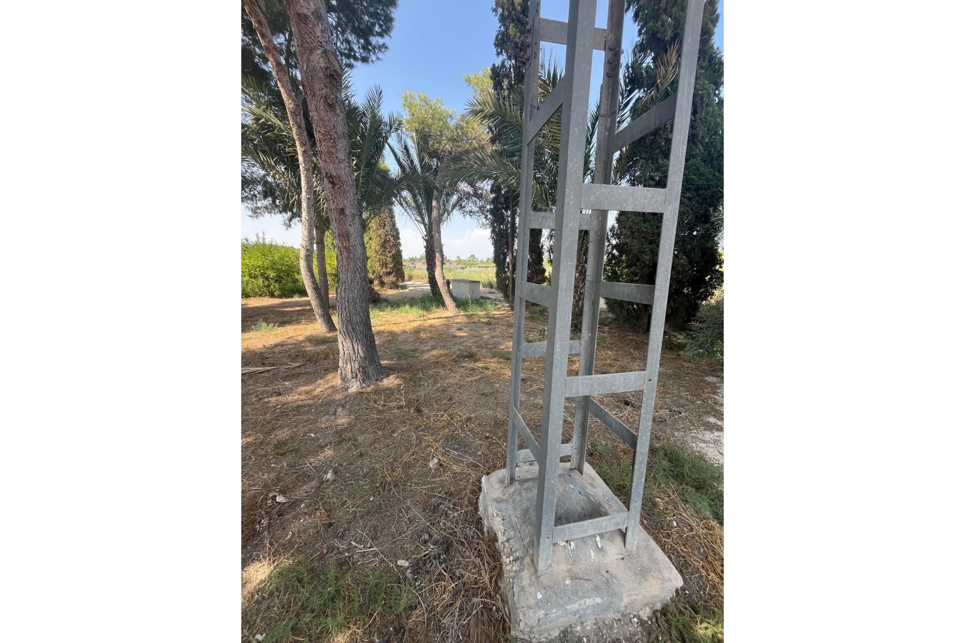 Reventa - Parcela / Terreno - Elche Pedanías - Algoda-Matola-Llano de San José