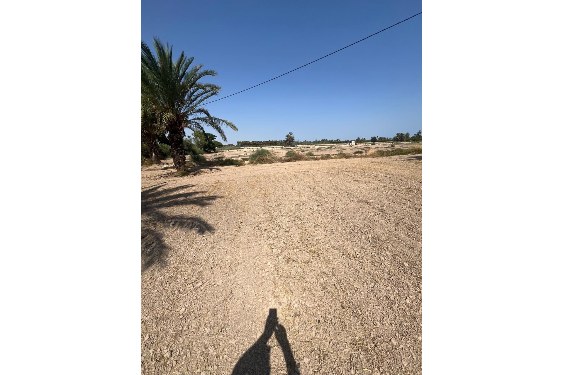 Reventa - Parcela / Terreno - Elche Pedanías - Algoda