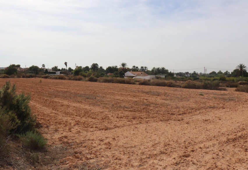 Reventa - Parcela / Terreno - Elche Pedanías - Balsares