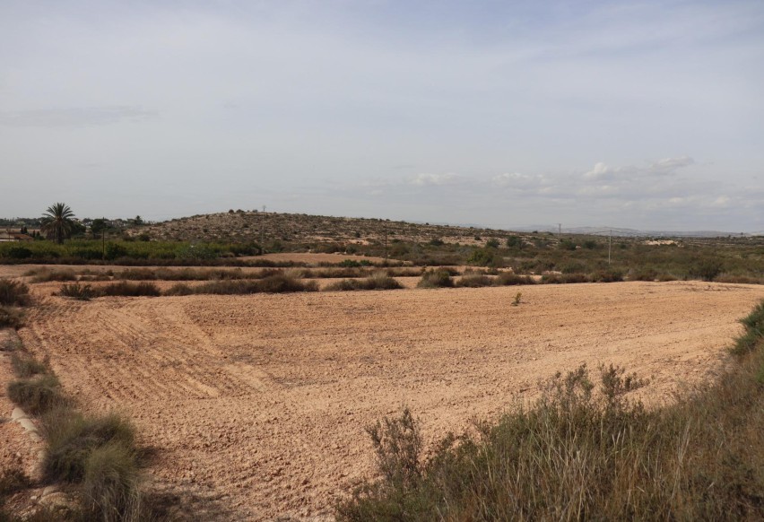 Reventa - Parcela / Terreno - Elche Pedanías - Balsares