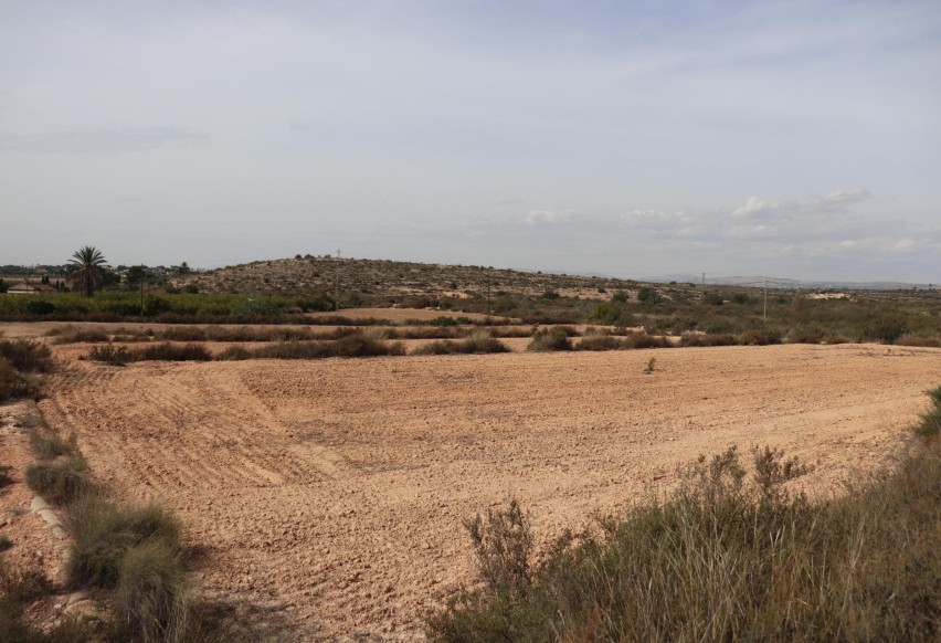 Reventa - Parcela / Terreno - Elche Pedanías - Balsares