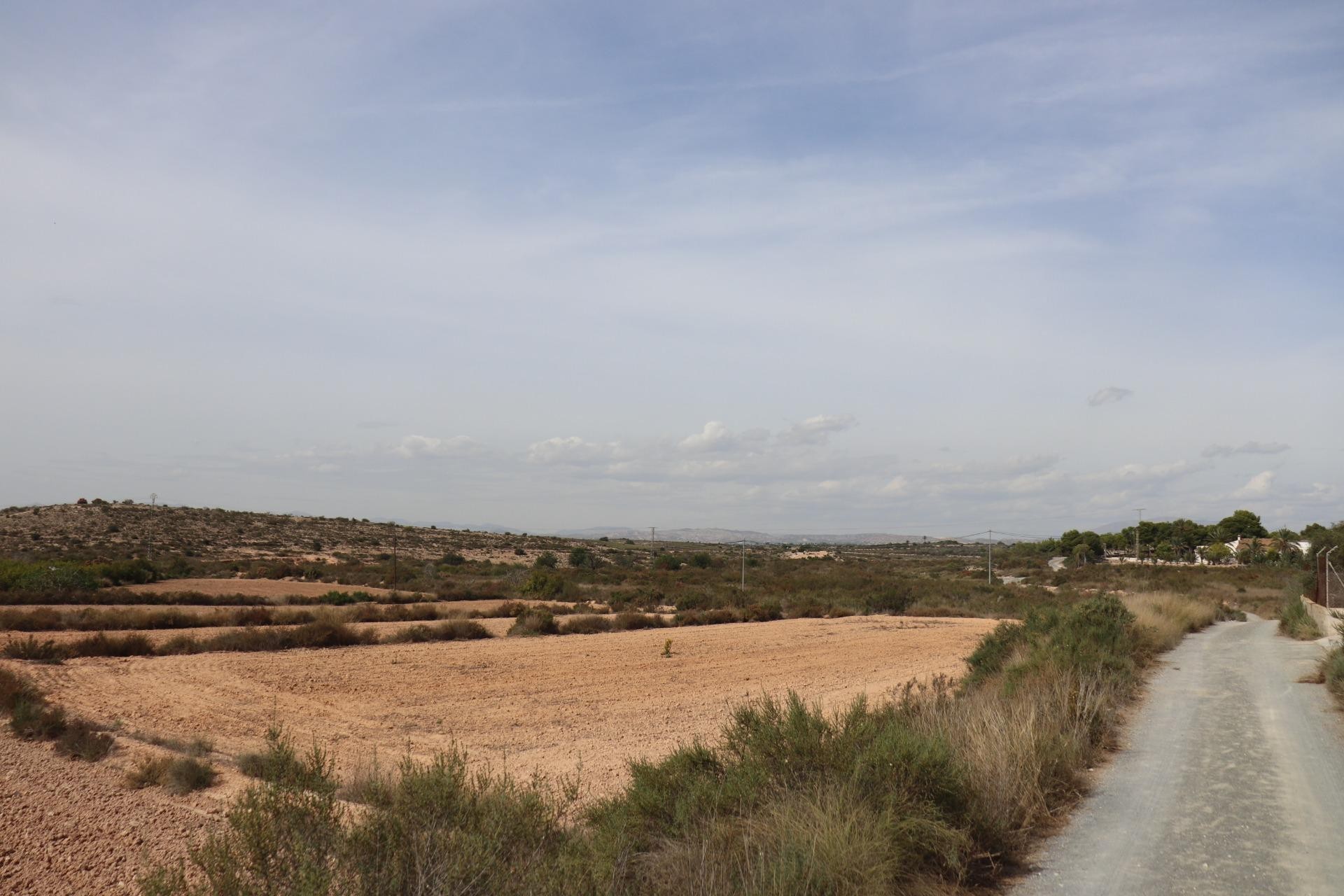 Reventa - Parcela / Terreno - Elche Pedanías - Balsares