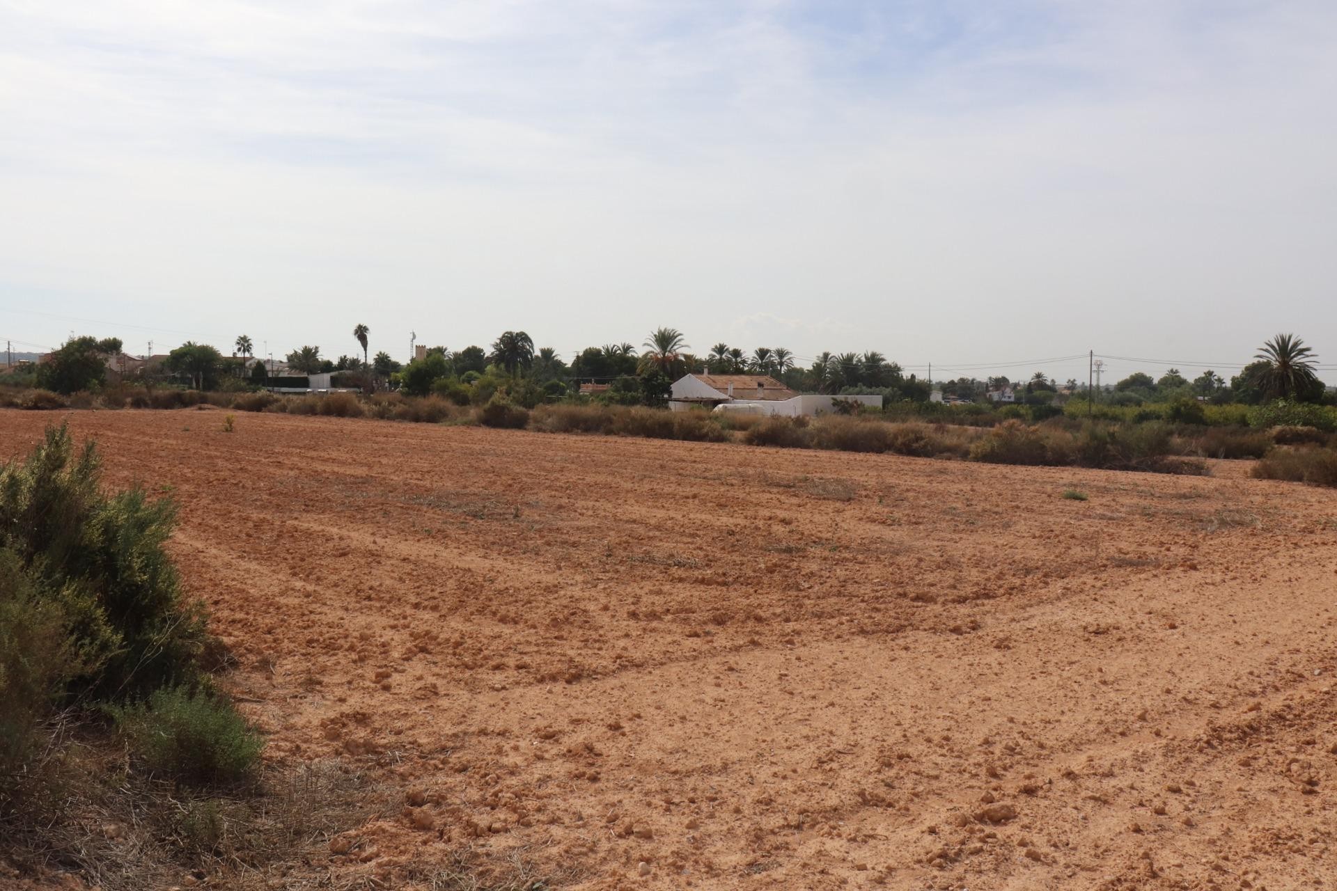 Reventa - Parcela / Terreno - Elche Pedanías - Balsares