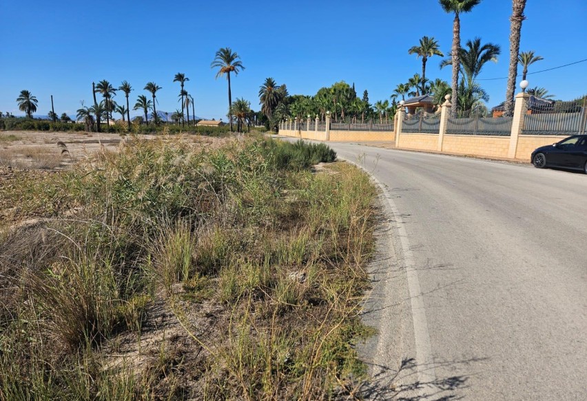 Reventa - Parcela / Terreno - Elche Pedanías - La Hoya-Daimes-El Derramador