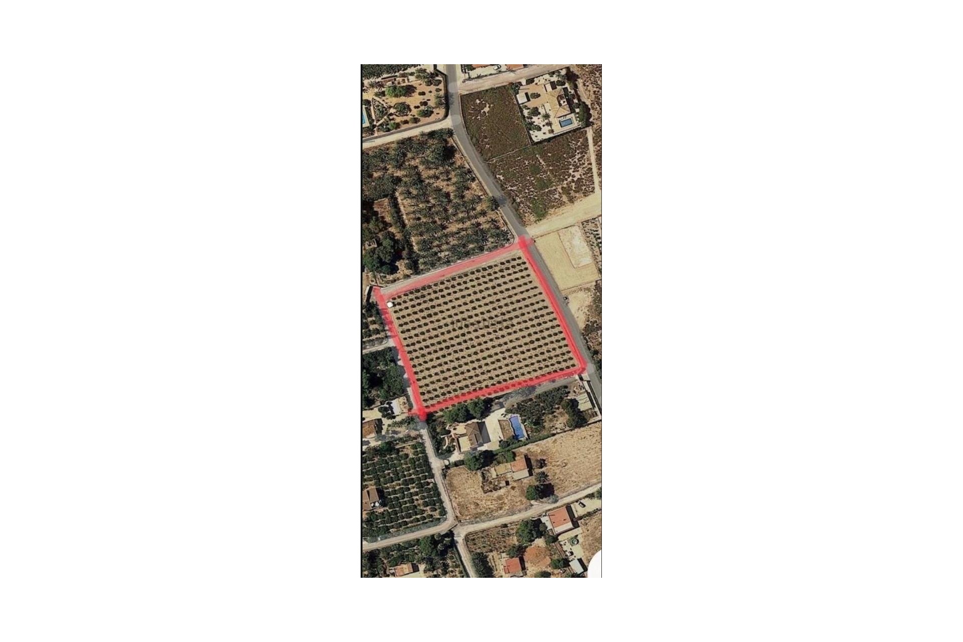 Reventa - Parcela / Terreno - Elche Pedanías - La Hoya