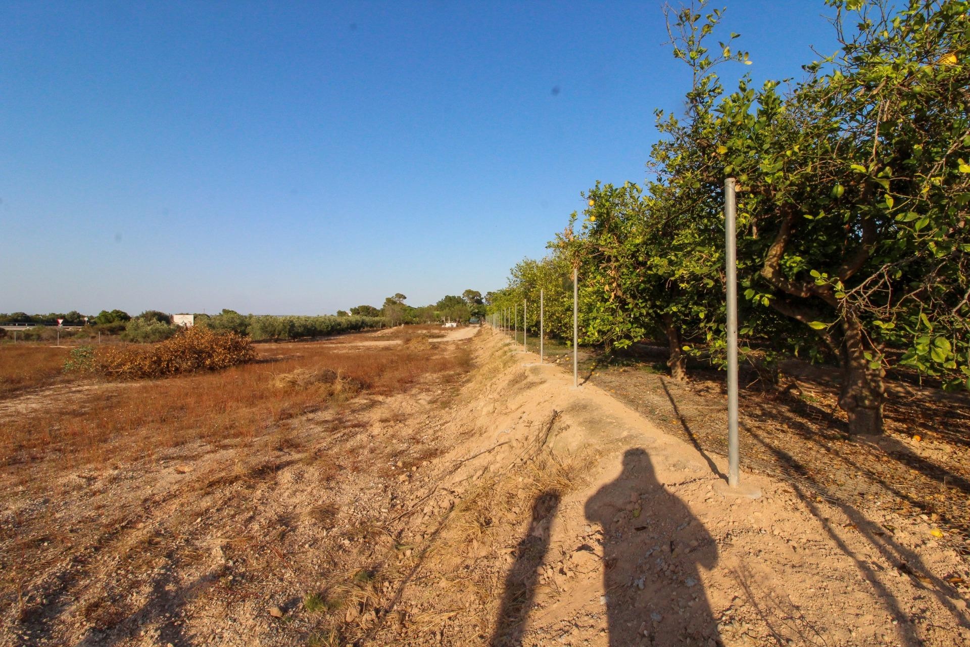 Reventa - Parcela / Terreno - Elche Pedanías - La Marina