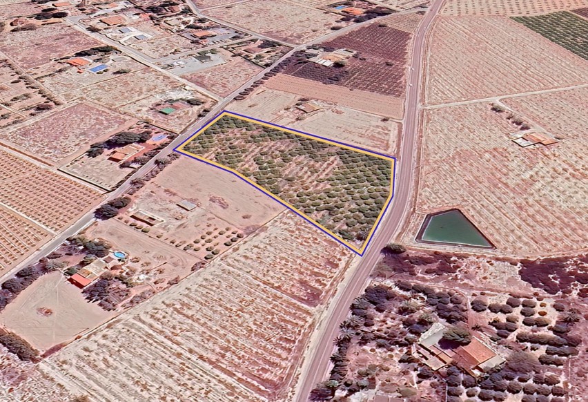 Reventa - Parcela / Terreno - Elche Pedanías - Las Bayas