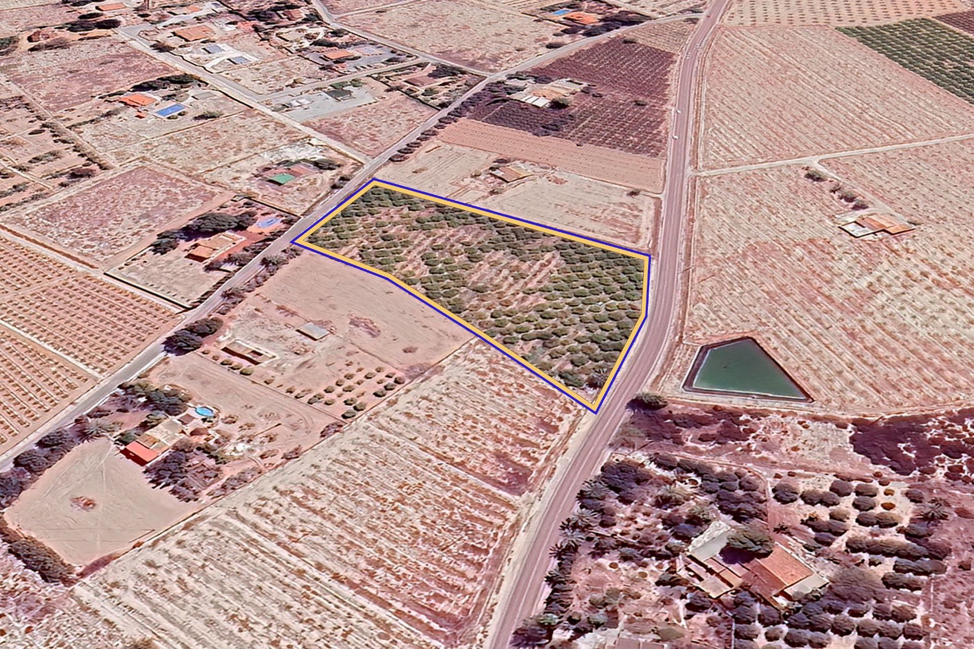 Reventa - Parcela / Terreno - Elche Pedanías - Las Bayas