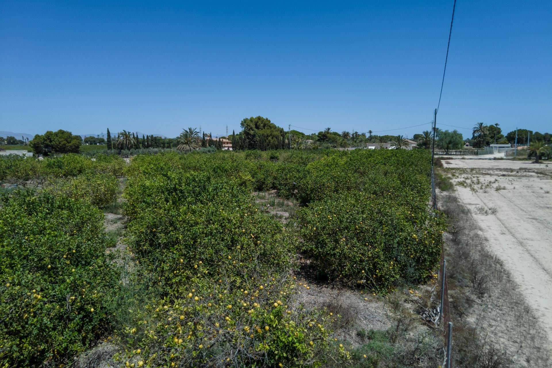 Reventa - Parcela / Terreno - Elche Pedanías - Las Bayas