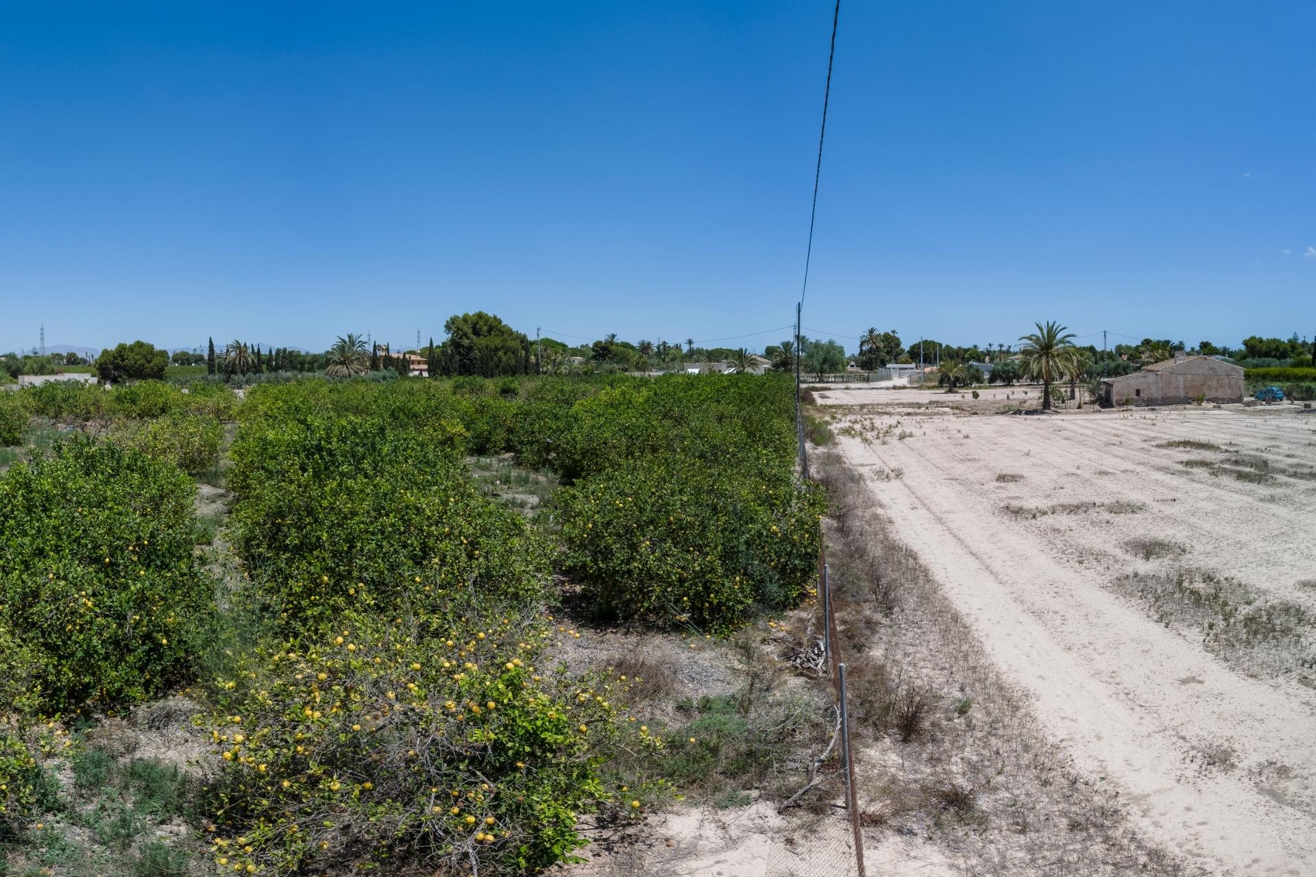 Reventa - Parcela / Terreno - Elche Pedanías - Las Bayas