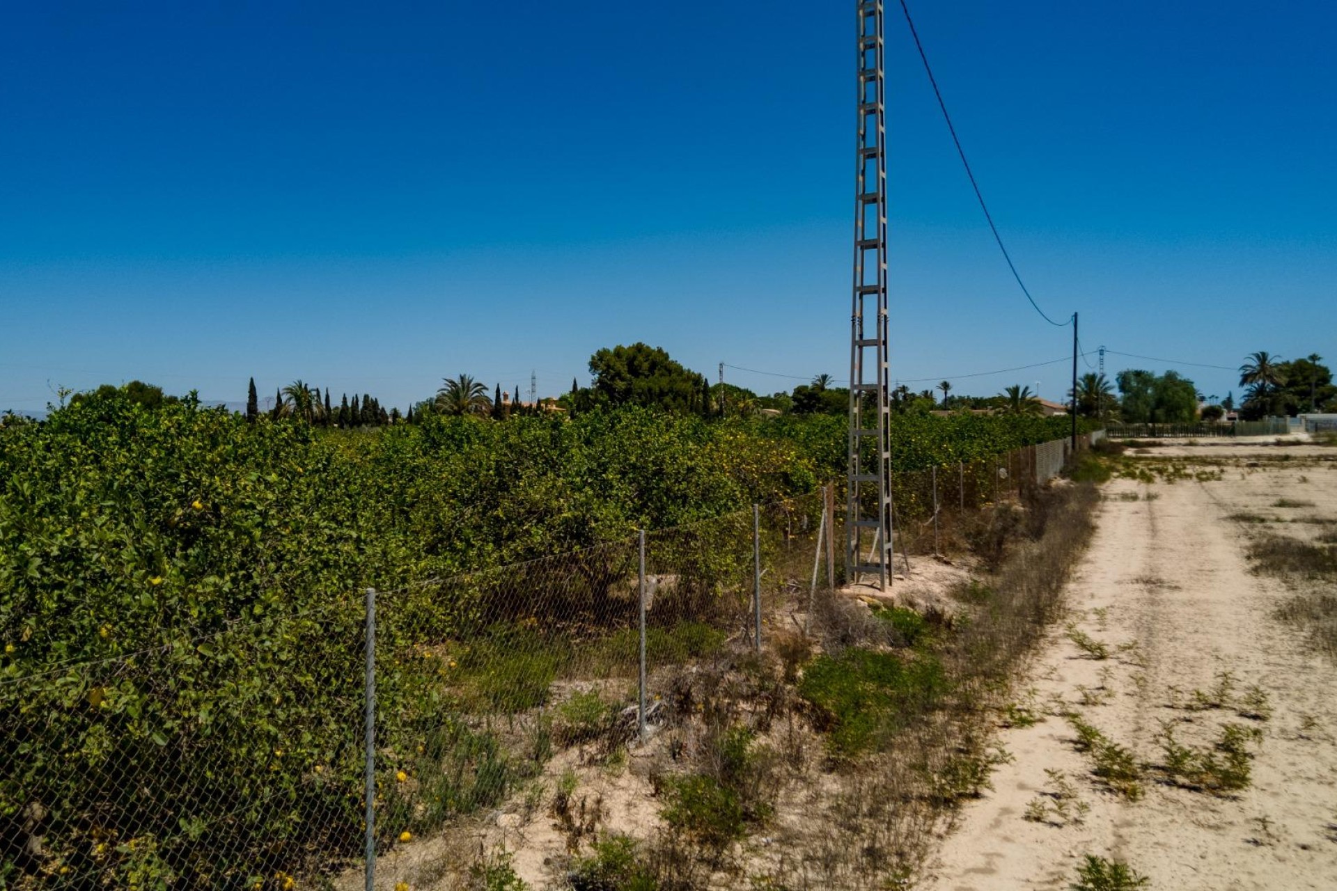 Reventa - Parcela / Terreno - Elche Pedanías - Las Bayas