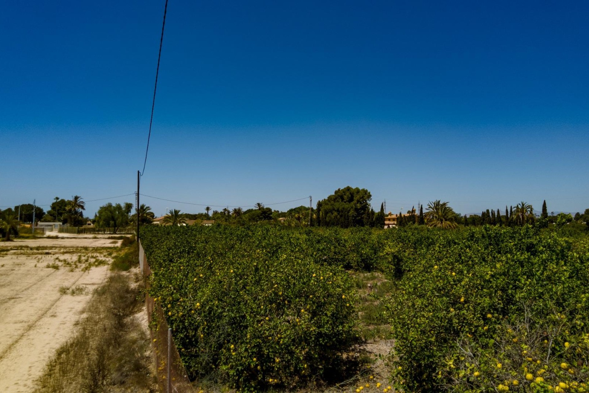 Reventa - Parcela / Terreno - Elche Pedanías - Las Bayas